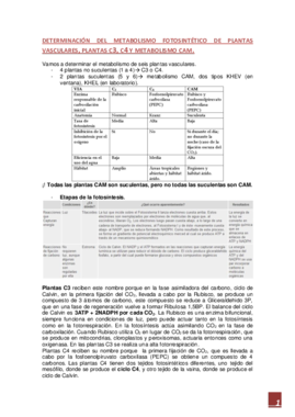 PRACTICAS DE FISIOLOGIA VEGETAL (informe más explicaciones).pdf
