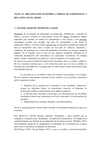 Tema 6 Definitivo PDF.pdf