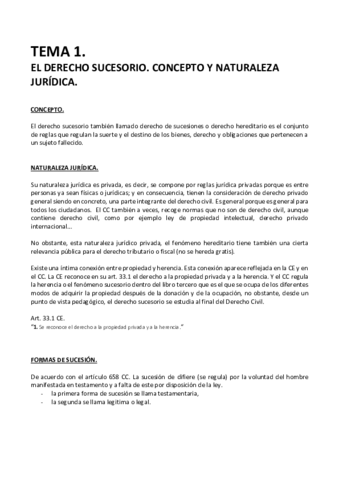 DERECHO-CIVIL-VI.pdf