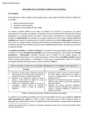 La-sinapsis-en-el-sistema-nervioso-central.pdf