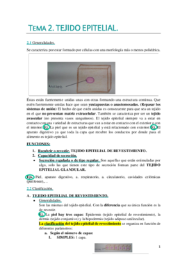 TEMA 2. WUOLAH DEFINITIVO.pdf