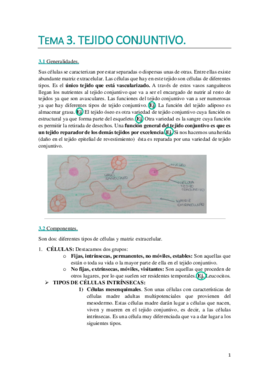 TEMA 3. WUOLAH DEFINITIVO.pdf