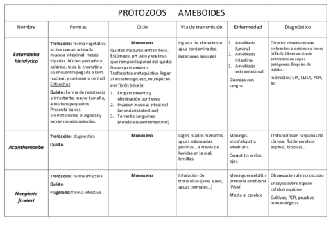 Tablas-protozoos.pdf