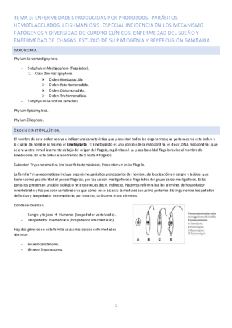 Tema-3.pdf