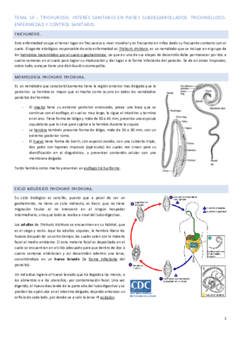 Tema-10.pdf