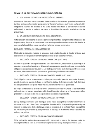 TEMA-17.pdf