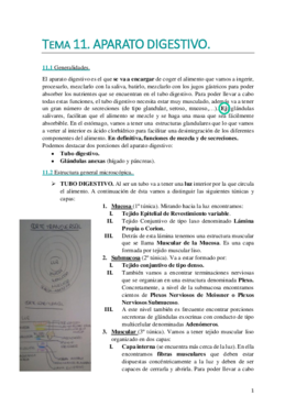 TEMA 11. WUOLAH DEFINITIVO..pdf