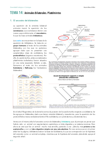 Diversidad-biologica-wuolah-t-14.pdf