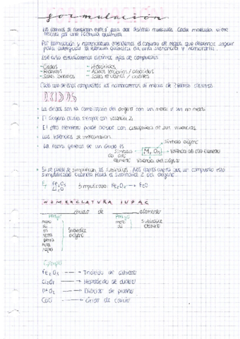 FORMULACION.pdf
