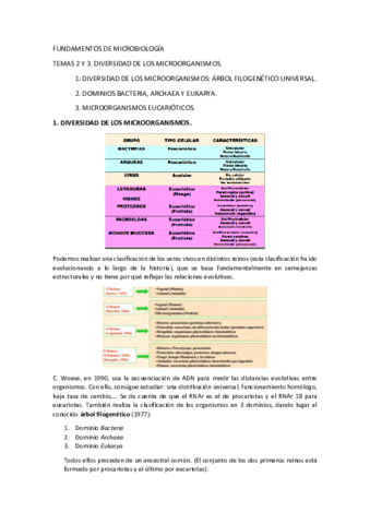 Tema 2 y 3.pdf