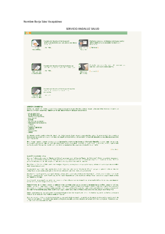 Act-Borja-Saez-Vazquianez-SAS.pdf