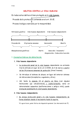 APUNTES COMPLETOS PENAL II (parte especial 1).pdf