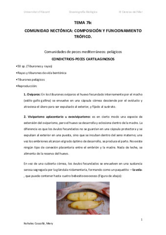 Apuntes-OBTEMA7c.pdf