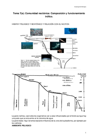 Apuntes-OBTEMA7a.pdf