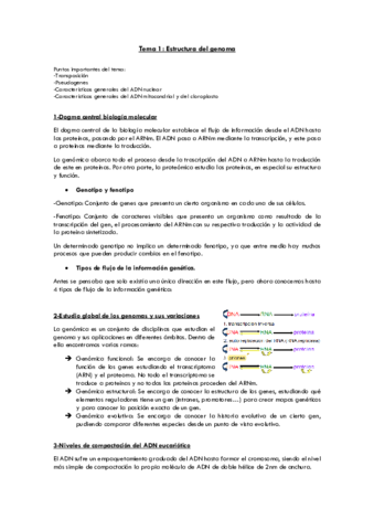 1-estructura-del-genoma.pdf