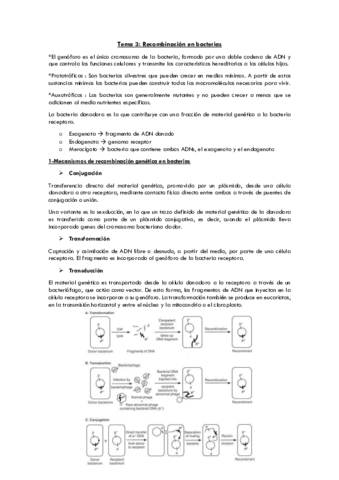 3-recombinacion-bacterias.pdf