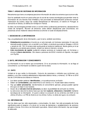 Apuntes Tema Sociedad De La Informacion Completo Pdf