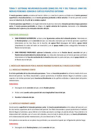 TEMA-ANATOMIA-ESPECIFICA-48-53.pdf