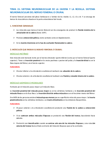 TEMA-ANATOMIA-ESPECIFICA-100-102.pdf