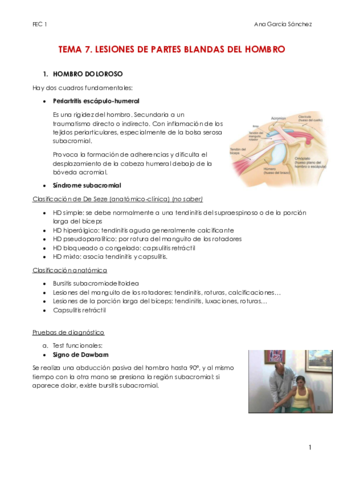 TEMA-7.pdf