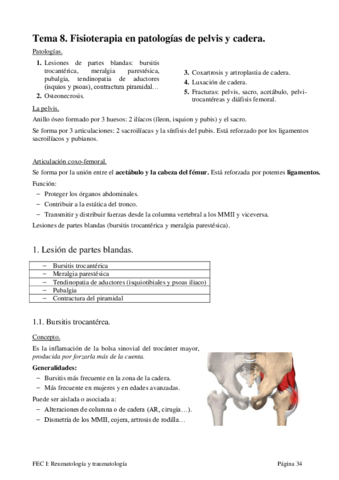 Tema-8.pdf