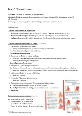 Tema-3.pdf