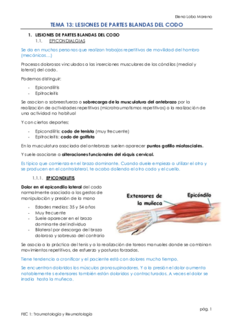 Tema-13.pdf