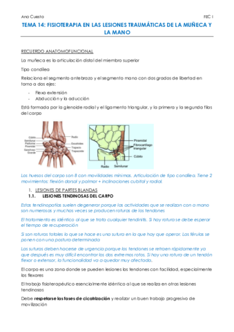 mano-muneca.pdf