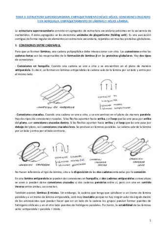 TEMA-4-estructura-supersecundaria-tema-natalia.pdf