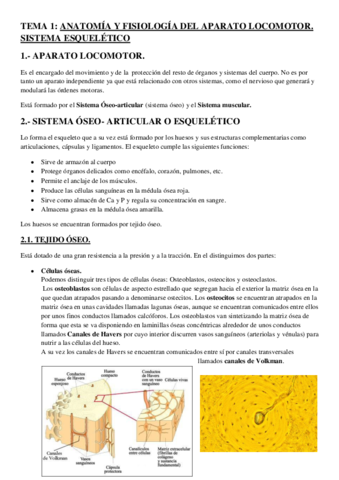 Sistema-esqueletico.pdf