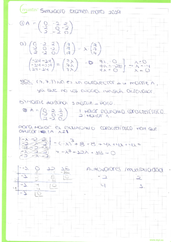 Simulacro-examen-mates-2019.pdf