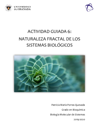 ACTIVIDAD-GUIADA-6.pdf
