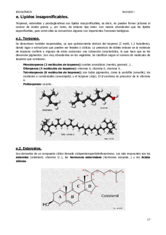 BI-BIOQUIMICA-3a-PARTE.pdf