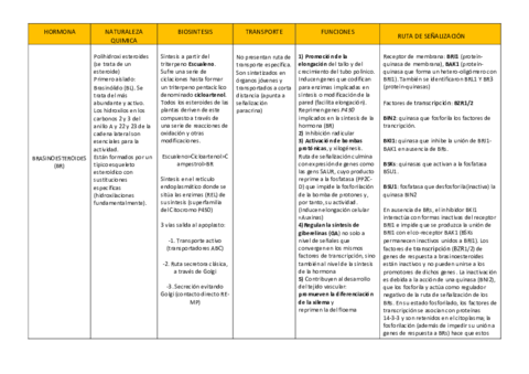 Brasinoesteroides.pdf