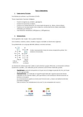 Tema 2. Carbohidratos.pdf