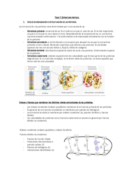 Tema 7. Estructura proteica.pdf