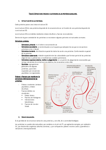 Tema 8. Estructura terciaria y cuaternaria de las proteínas globulares.pdf