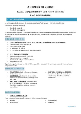 Enfermeria-del-adulto-I-TEMA-3.pdf