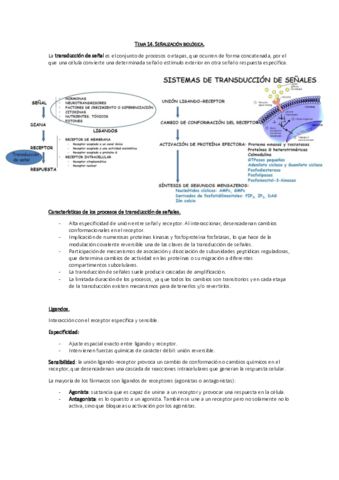 Tema 14. Señalización biológica.pdf