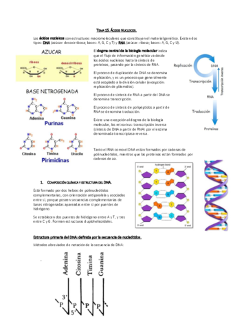 Tema 15. Ácidos Nucleicos.pdf