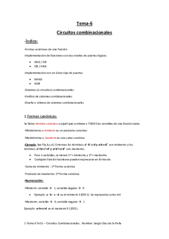 Tema-6-Resumen.pdf
