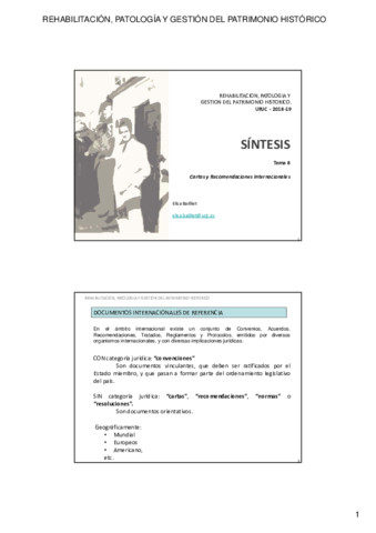 2018-19-REHABILITACION-SINTESIS-TEMA-8.pdf