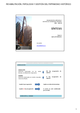 2018-19-REHABILITACION-SINTESIS-TEMA-12.pdf