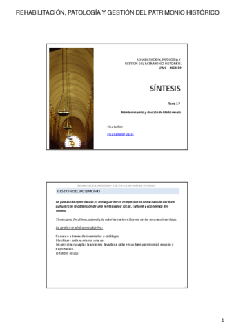 2018-19-REHABILITACION-SINTESIS-TEMA-17.pdf