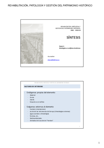 2018-19-REHABILITACION-SINTESIS-TEMA-11.pdf