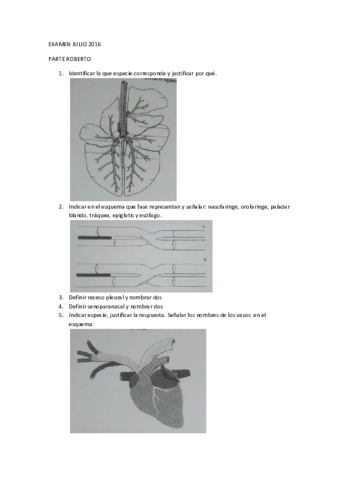 EXAMEN-JULIO-2016-parte-roberto.pdf