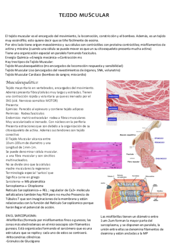 Tejido-Muscular-Histo.pdf