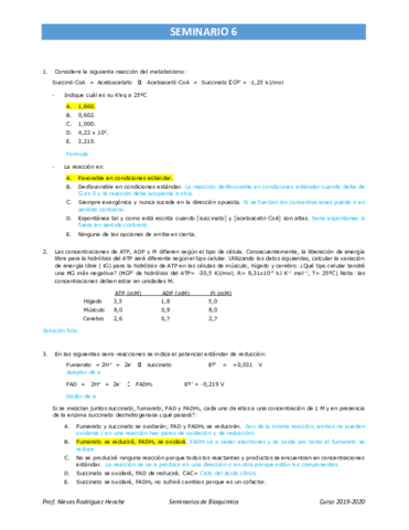 SEMINARIO-6-Bioenergetica.pdf