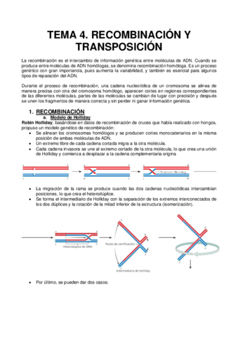 4. RECOMBINACIÓN Y TRANSPOSICIÓN