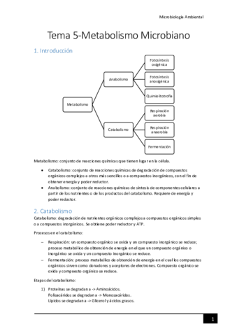 Tema-5-Metabolismo-microbiano.pdf